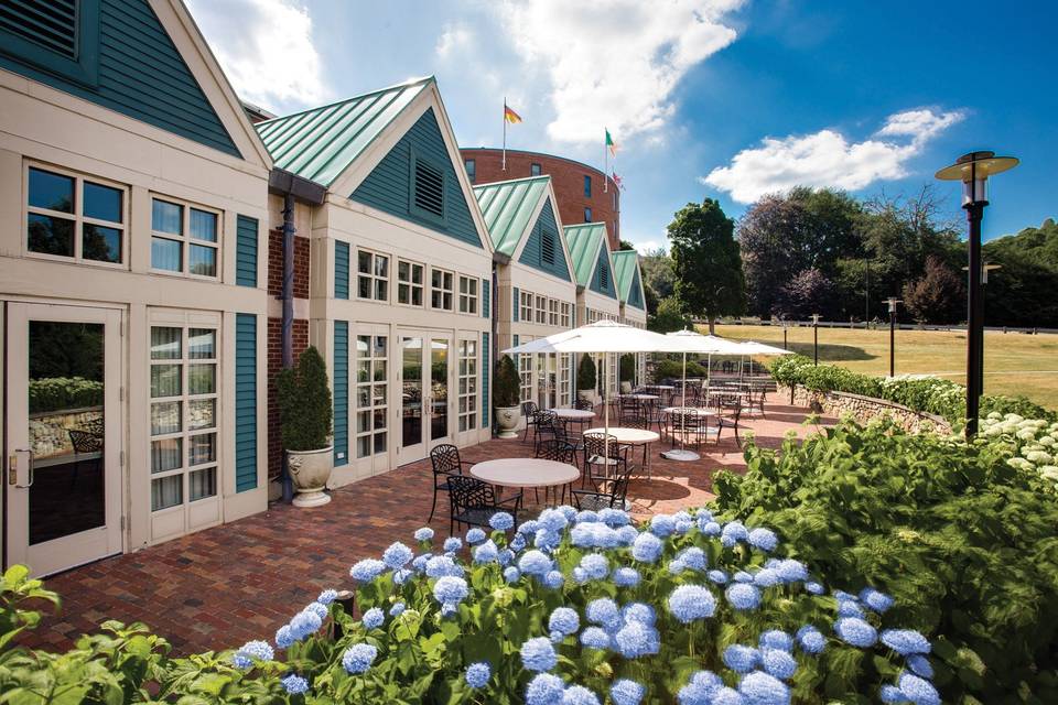 beechwood hotel in worcester ma to see hydrangeas in new england